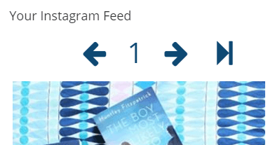 An example of Instagram Feed WD in action on a widget.