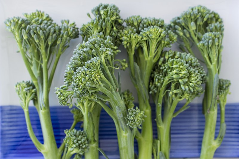 Broccoli vs Broccolini
