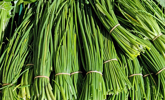 Compare Chives, Green Onions and Scallions
