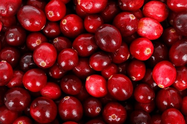 Compare Blueberry and Cranberry - What's the difference?