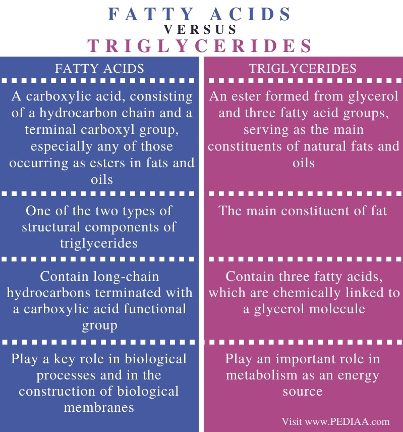 Difference Between Fatty Acids and Triglycerides - Comparison Summary