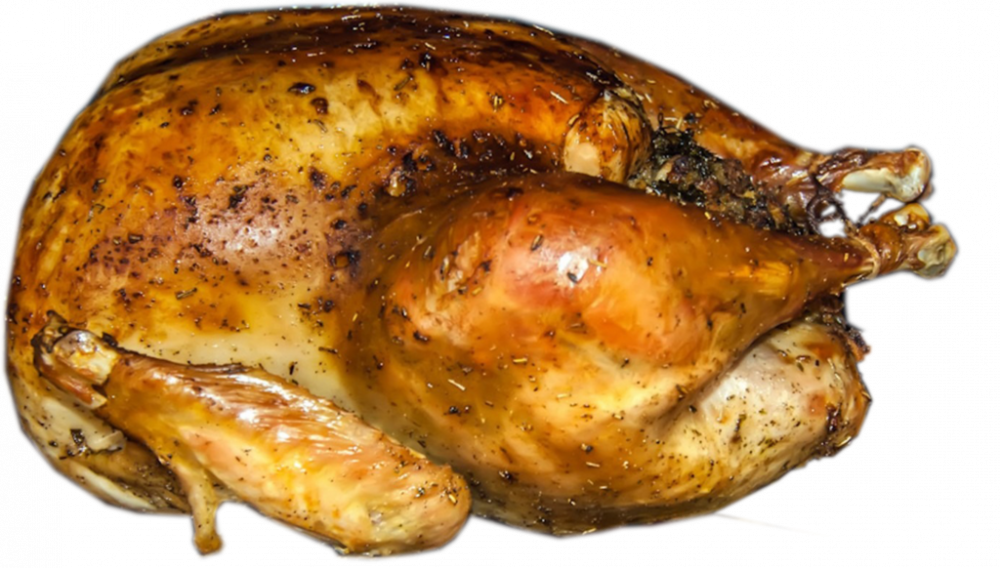 Main Difference - Turkey vs Chicken