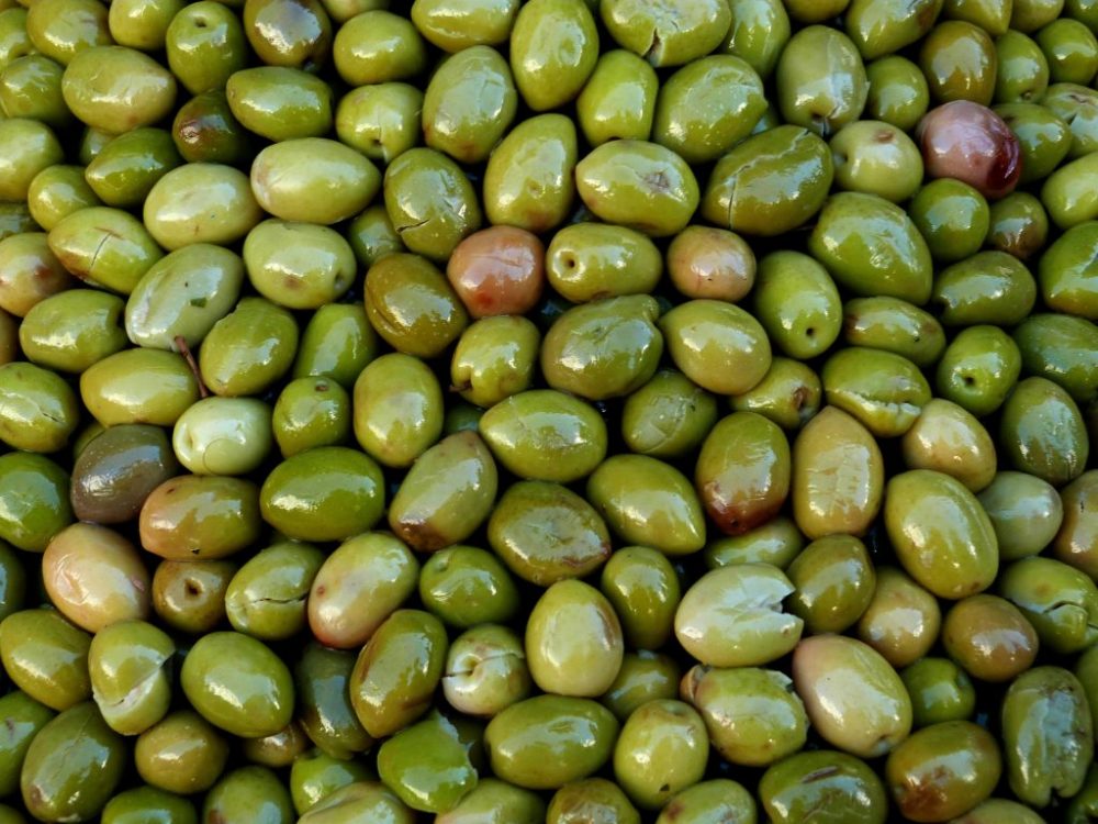 Compare Black and Green Olives  