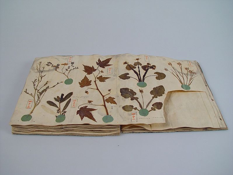 Compare Herbarium and Botanical Garden - What's the difference?