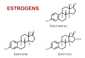 Main Difference - Androgen vs Estrogen