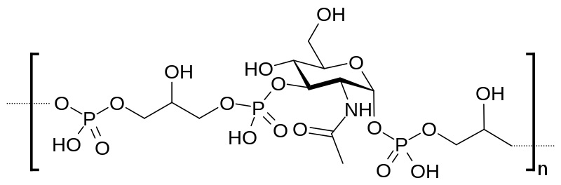 Compare Teichoic Acid and Lipoteichoic Acid