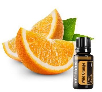 Compare Wild Orange and Sweet Orange Essential Oil - What's the difference?