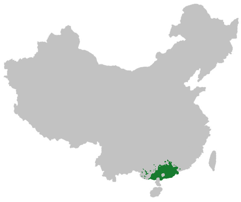 中国語(北京語)と広東語(北京語)の違いとは?分かりやすく解説! | トーマスイッチ