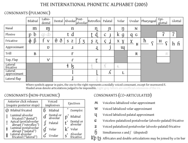 What are phonemes