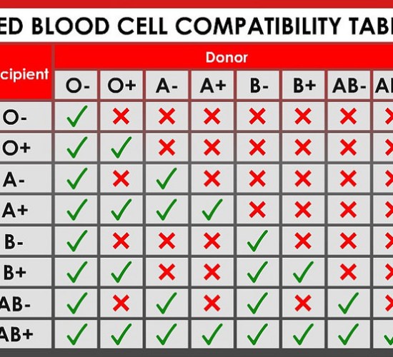 Main Difference - ABO Blood Group vs RH Blood Group