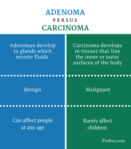 Difference Between Adenoma and Carcinoma - infographic