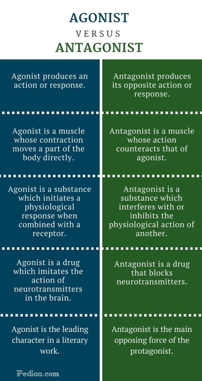 Difference Between Agonist and Antagonist- infographic