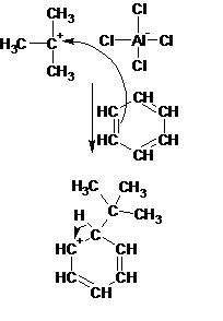 Difference Between Alkylation and Acylation