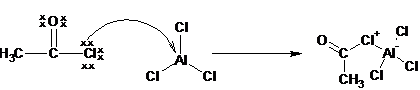 Difference Between Alkylation and Acylation - image 5