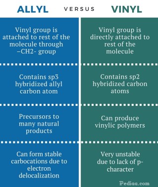 Difference Between Allyl and Vinyl- infographic