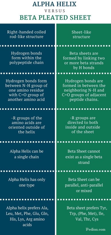 Difference Between Alpha Helix and Beta Pleated Sheet -infographic
