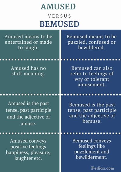 Difference Between Amused and Bemused-infographic