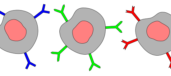 Main Difference - Antigen vs Antibody
