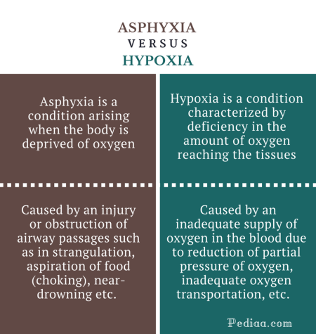 Difference Between Asphyxia and Hypoxia - Asphyxia vs Hypoxia Comparison Summary