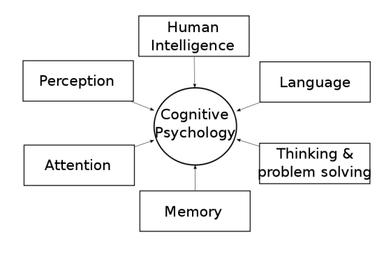 Main Difference - Behaviorism vs Cognitive Psychology