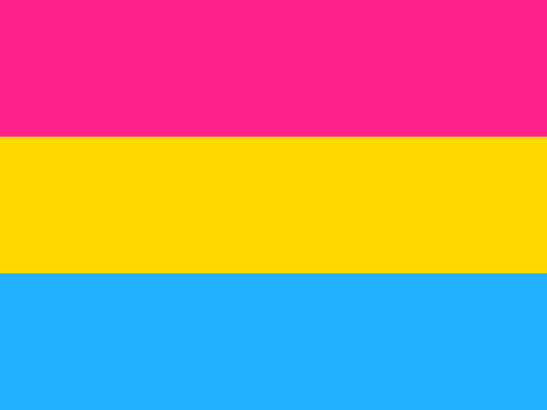 Main Difference - Bisexual vs Pansexual