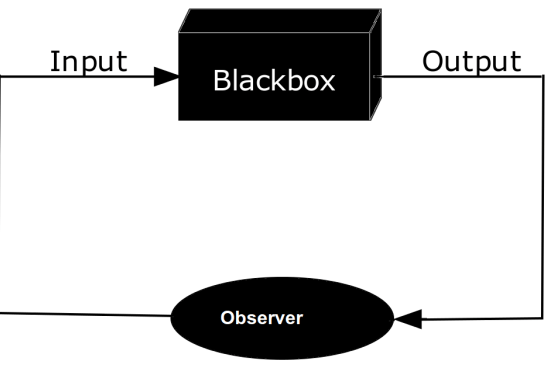 Main Difference - Blackbox vs Whitebox Testing