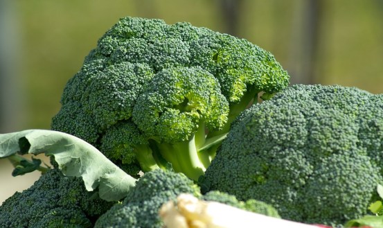 Difference Between Broccoli and Cauliflowe