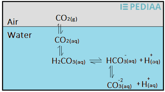 Main Difference - Carbon Dioxide vs Carbon Monoxide