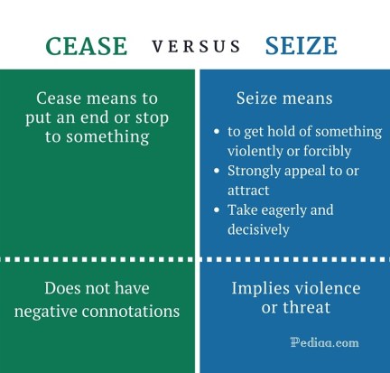 Difference Between Cease and Seize - infographic