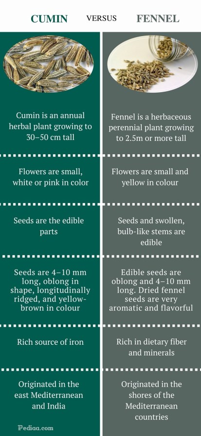 Difference Between Cumin and Fennel - infographic