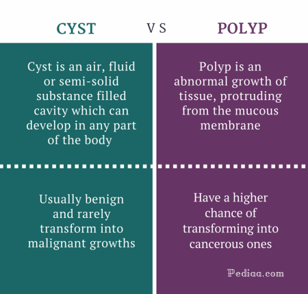 Difference Between Cyst and Polyp - Cyst vs Polyp Comparison Summary
