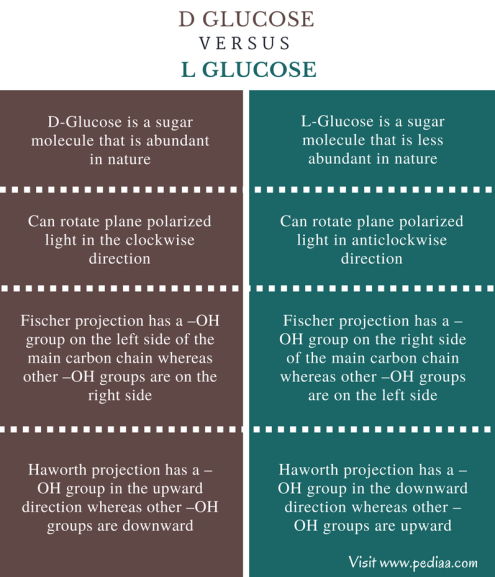 Difference Between D and L Glucose - Comparison Summary