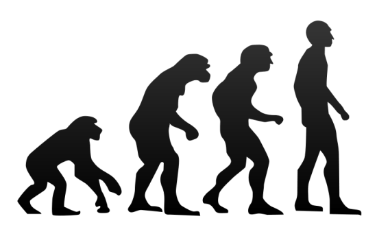 Main Difference - Evolution vs Revolution