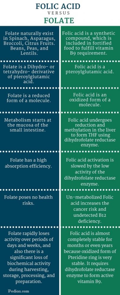 Difference Between Folic Acid and Folate - infographic