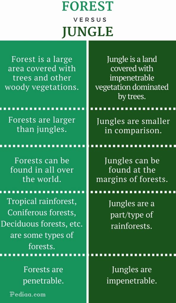 Difference Between Forest and Jungle - infographic