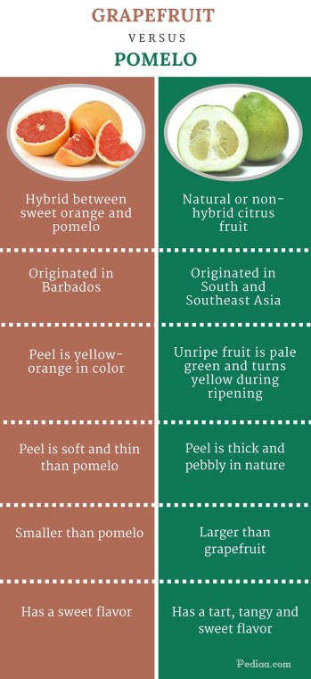 Difference Between Grapefruit and Pomelo-infographic 