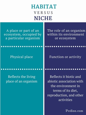Difference Between Habitat and Niche - infographic