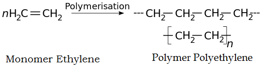 Main Difference - Homopolymer vs Copolymer 