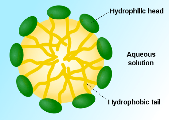 Main Difference - Hydrophobic vs Hydrophilic Molecules 