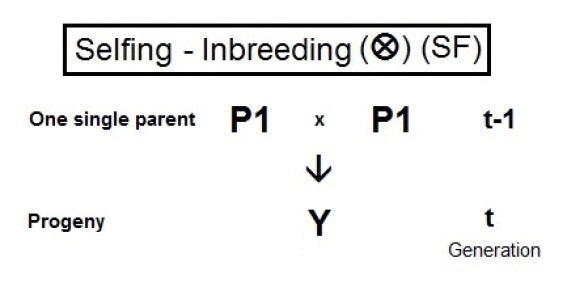 Main Difference - Inbreeding vs Interbreeding 