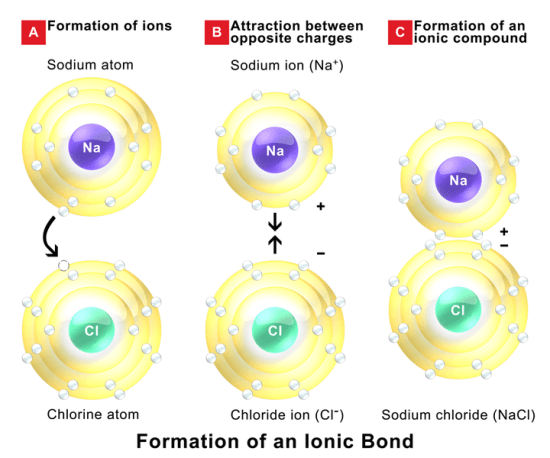 Main Difference - Intermolecular vs Intramolecular Forces
