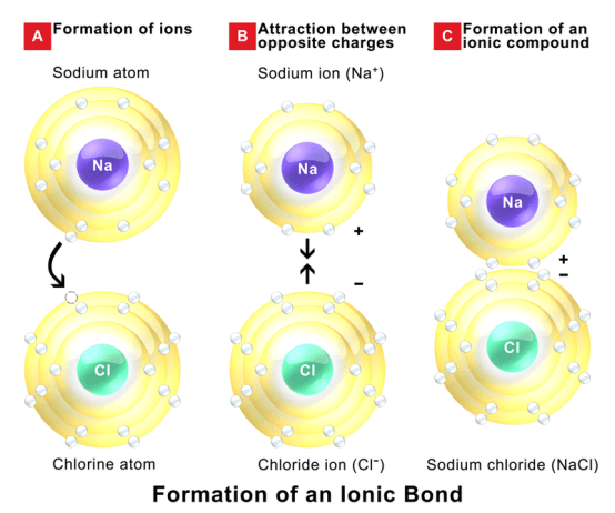 Difference Between Ionic Covalent and Metallic Bonds - 1
