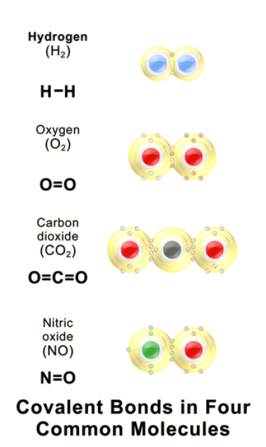 Difference Between Ionic Covalent and Metallic Bonds 