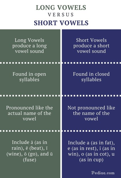 Difference Between Long and Short Vowels - infographic
