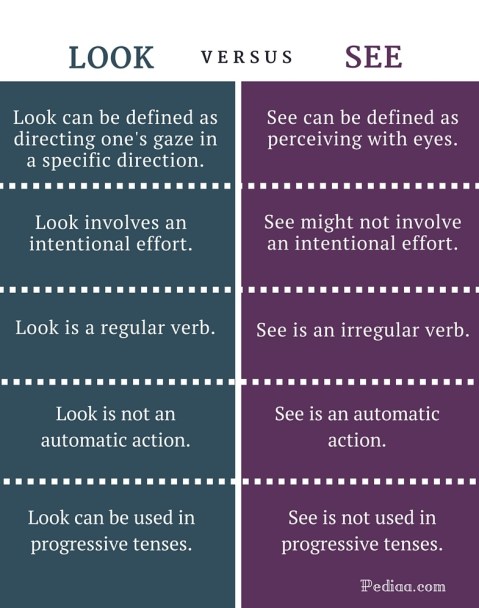 Difference Between Look and See - infographic