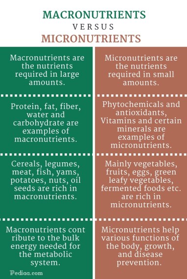 Difference Between Macronutrients and Micronutrients - infographic