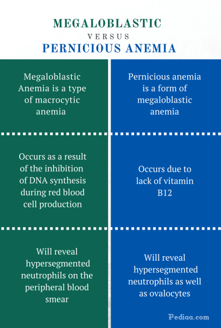 Difference Between Megaloblastic and Pernicious Anemia - Comparison Summary