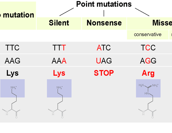 Main Difference - Mutation vs Recombination 