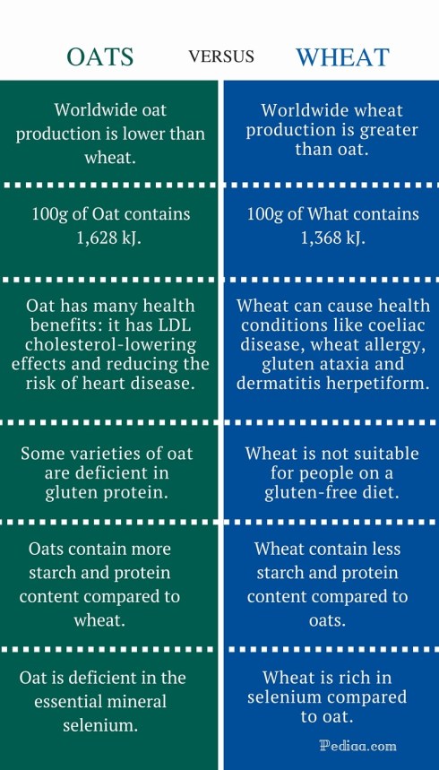 Difference Between Oats and Wheat - infographic