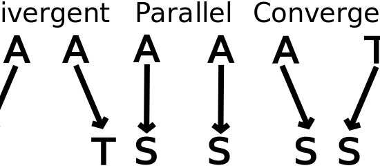 Main Difference -Parallel vs Convergent Evolution 